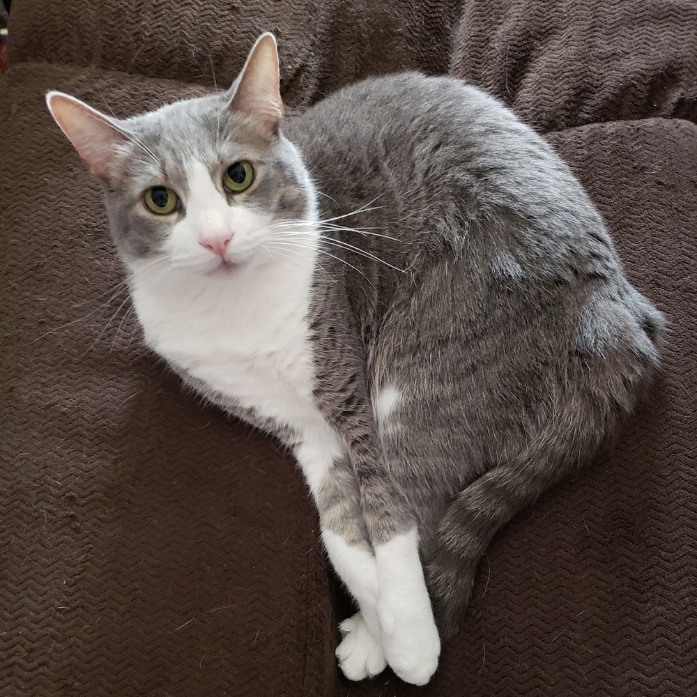 Meet your Posher, Karen